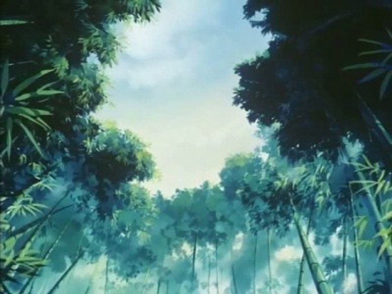Episódio 13